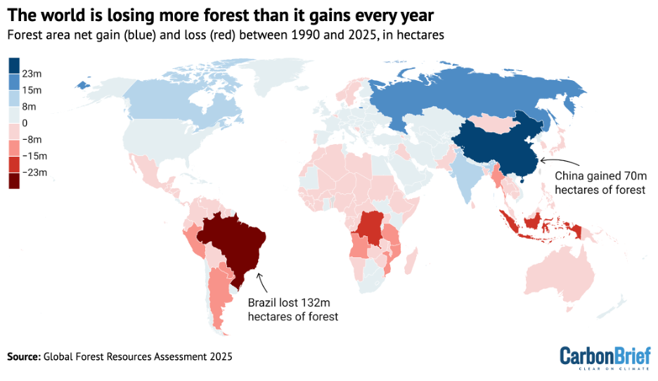 Chart showing global forest area gains and losses by region